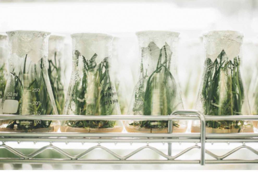 Environmentally Responsible