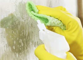 Hard Surface Cleaners