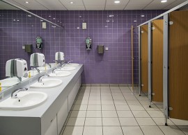 Washroom Cleaning